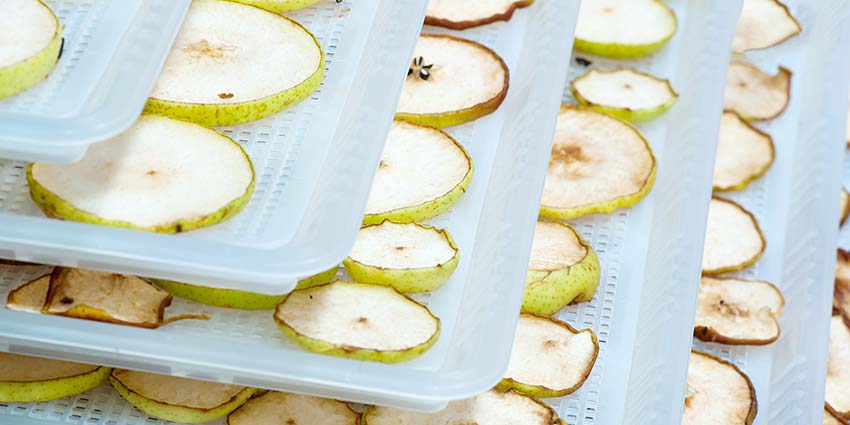 10 Tips for Better Dehydrated Food
