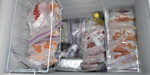 Frozen Food in Chest Freezer