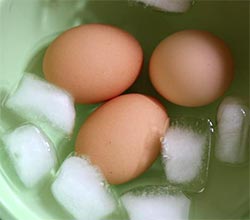 Boiled Eggs in Ice Bath