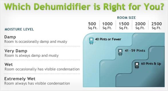 Ing A Dehumidifier, What Size Dehumidifier Do I Need In My Basement