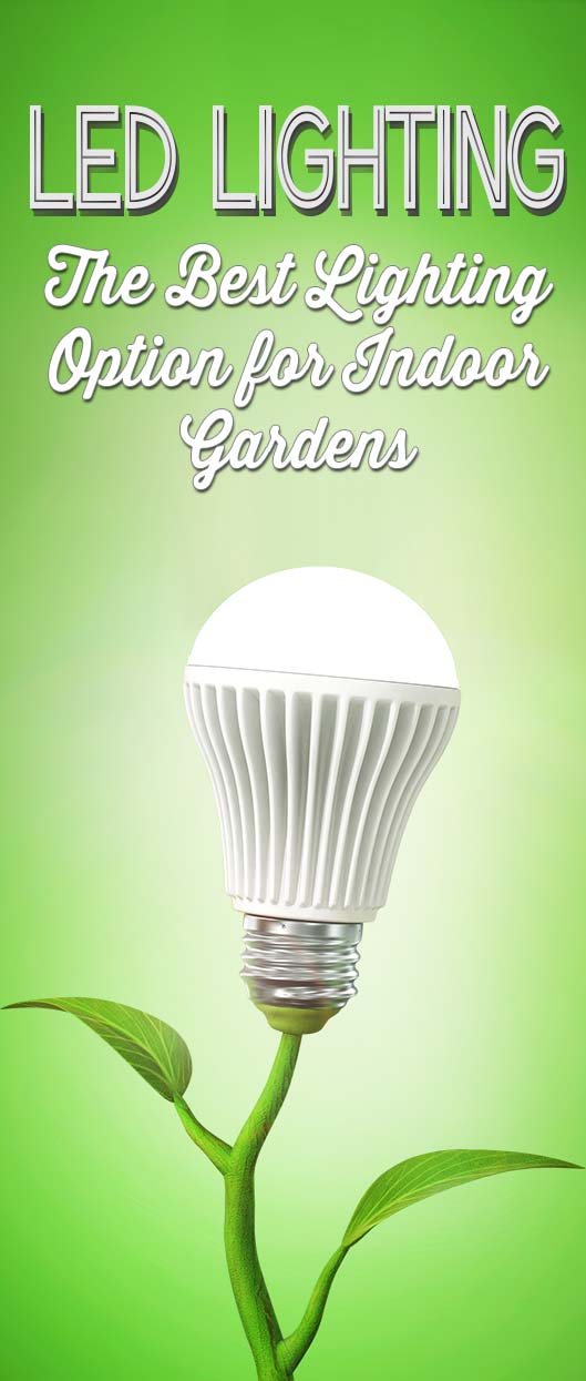 LED Grow Lights: The Best Lighting Option for Indoor Plants & Gardens