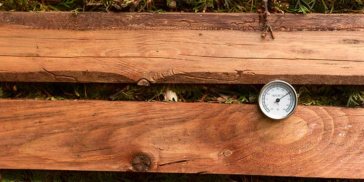 compost with thermometer