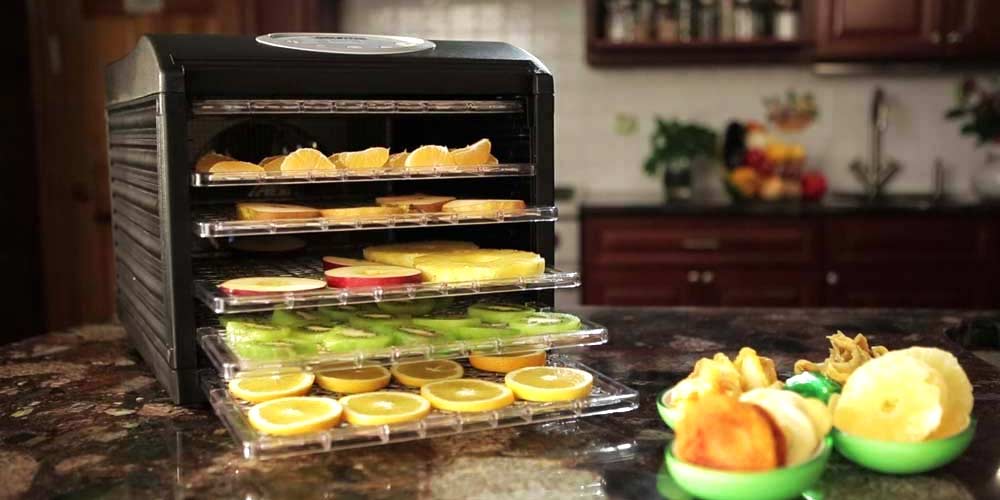 What To Look For When Choosing A Food Dehydrator